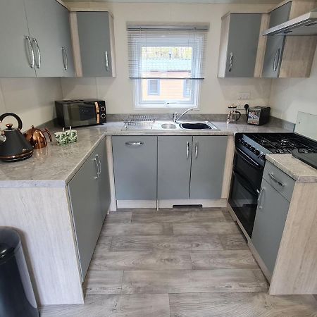 The Ceredigion - Plot 26, Woodlands Lodge Retreat, New Quay, West Wales Llanina Zewnętrze zdjęcie
