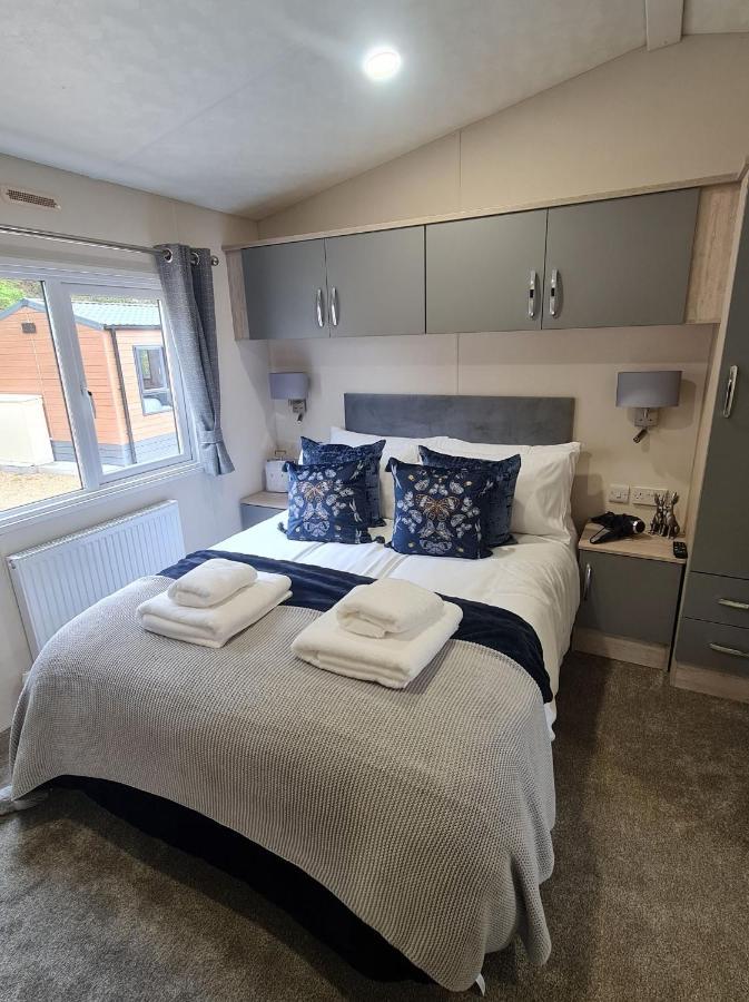The Ceredigion - Plot 26, Woodlands Lodge Retreat, New Quay, West Wales Llanina Zewnętrze zdjęcie
